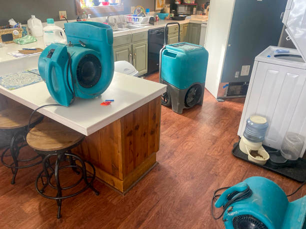 Best Sewage cleanup and water damage restoration  in Columbia, KY