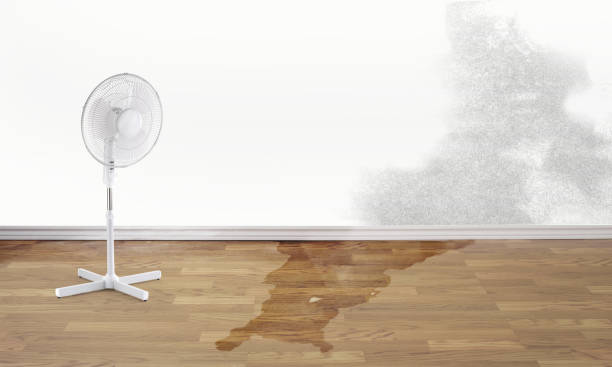 Best 24-hour water damage restoration  in Columbia, KY