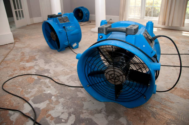 Columbia, KY Water damage restoration Pros
