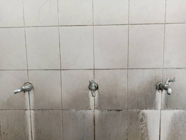 Best Basement water damage restoration  in Columbia, KY