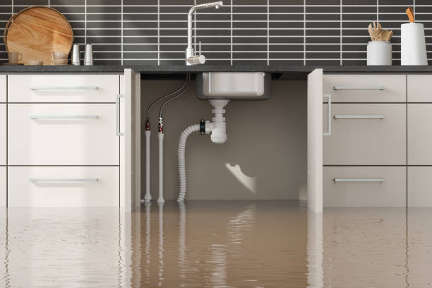 Best Flood restoration services  in Columbia, KY